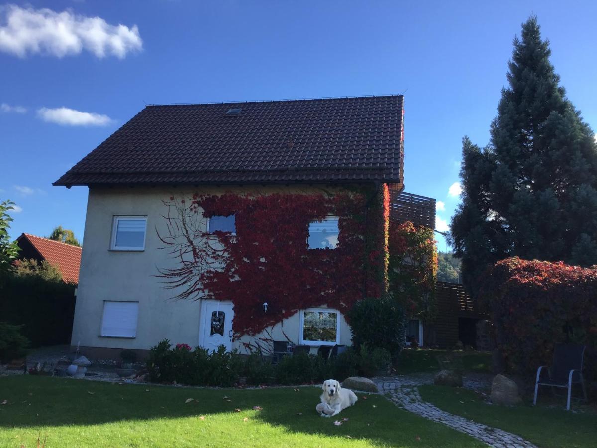 Gernrode  Ferienwohnung Elli מראה חיצוני תמונה