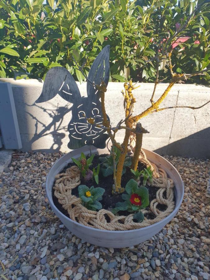 Gernrode  Ferienwohnung Elli מראה חיצוני תמונה